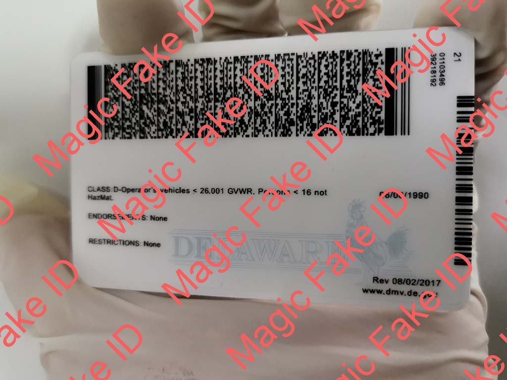 New Delaware Driver License - Image 2