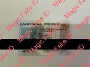 New California Driver License 2026 V1