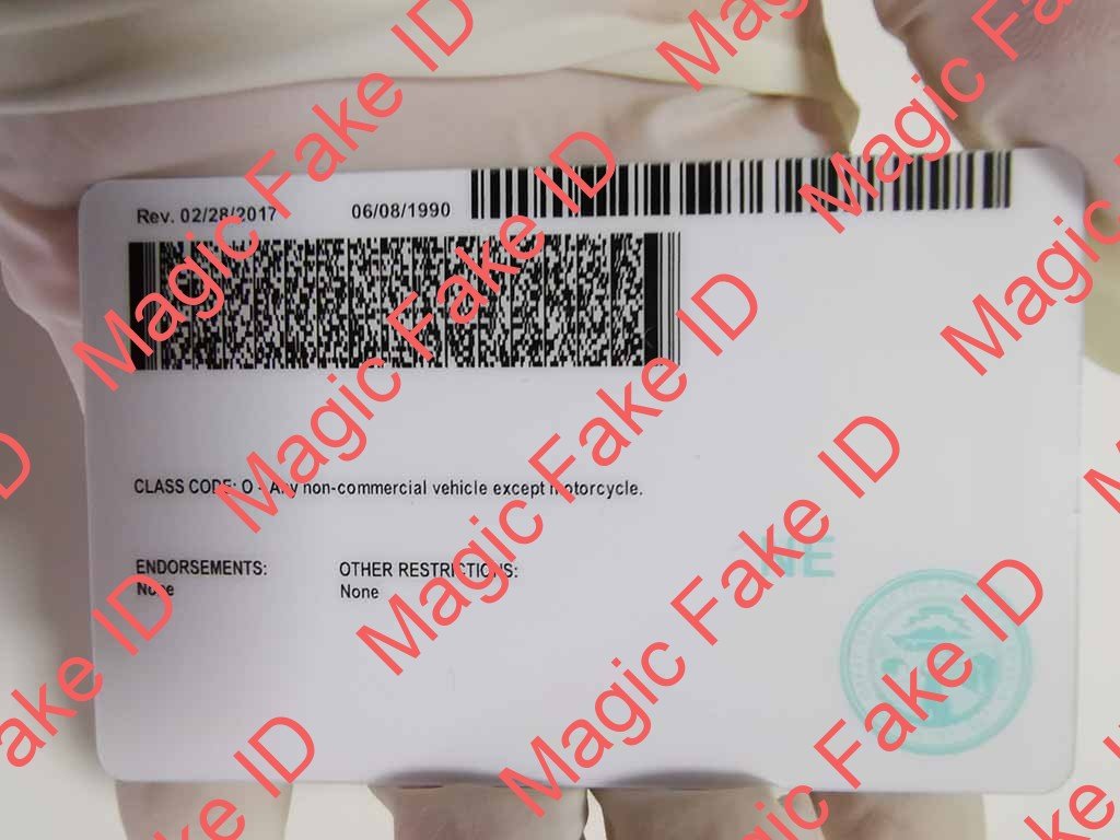 Nebraska Driver License - Image 2