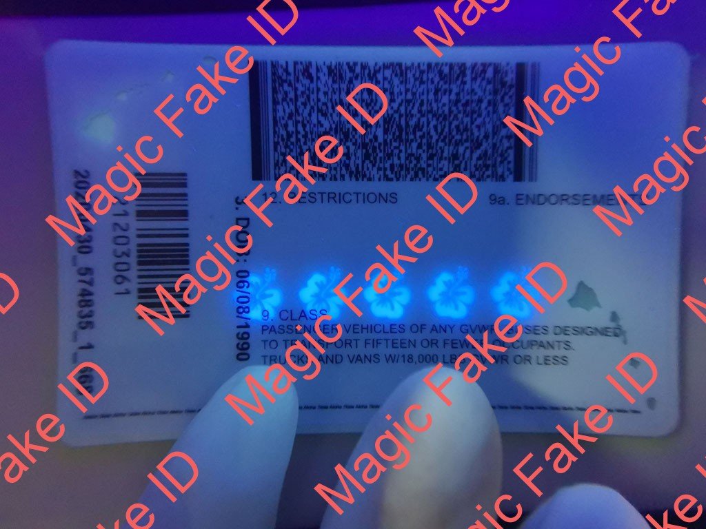 Hawaii Driver License - Image 3