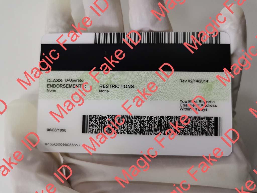 Arizona Driver License - Image 2