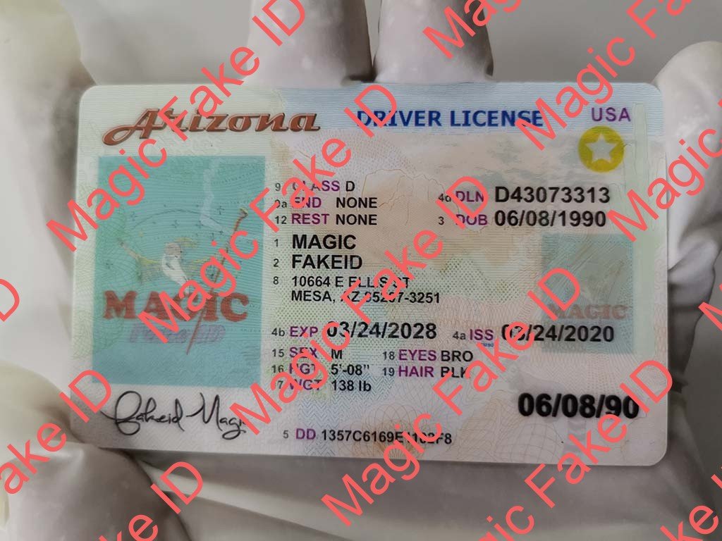 Arizona Driver License