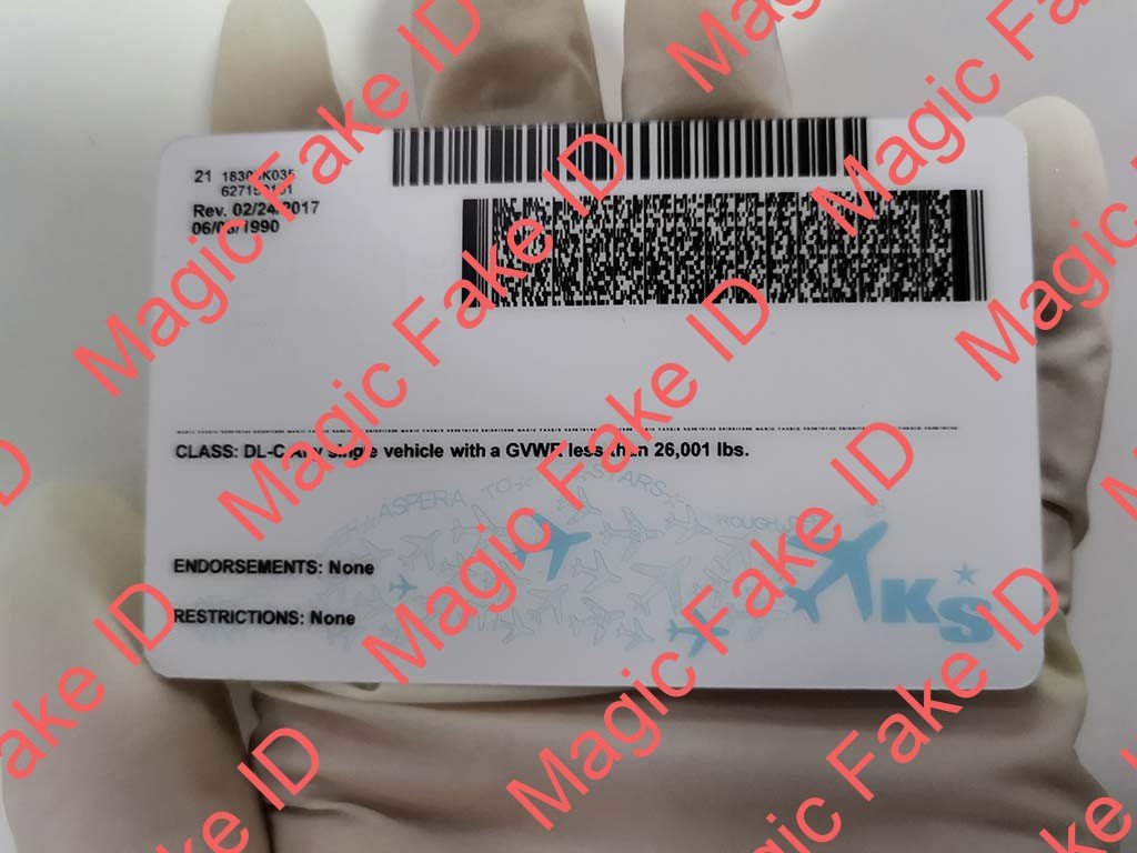 Kansas Driver License - Image 2