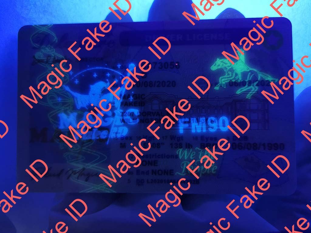 New Delaware Driver License - Image 3