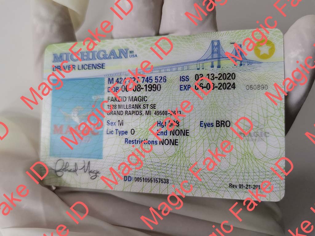 Michigan Driver License