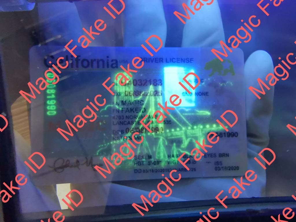 New California Driver License - Image 3