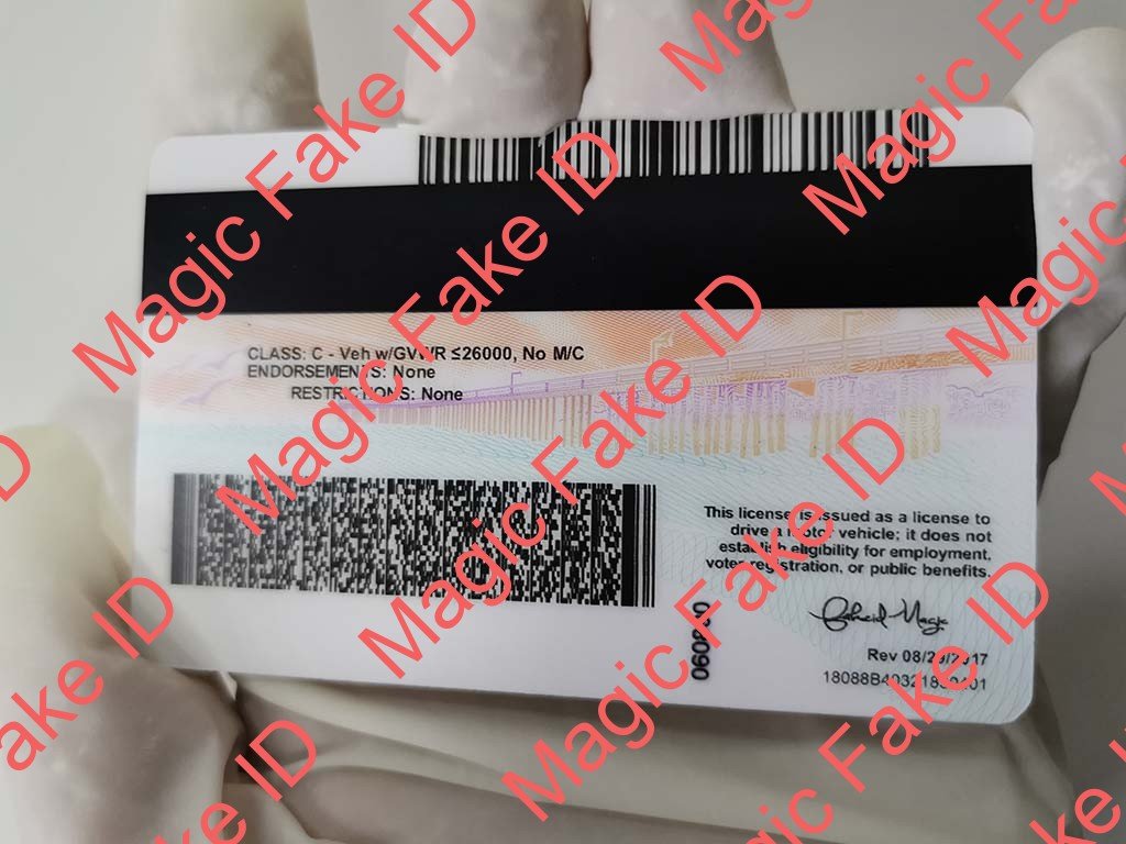 New California Driver License - Image 2