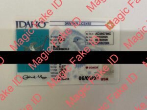 Idaho Driver License