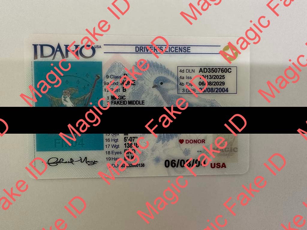 Idaho Driver License