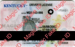 Kentucky Driver License 2024 Polycarbonate