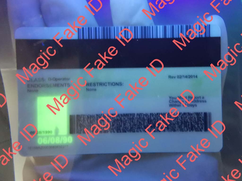 Arizona Driver License - Image 3